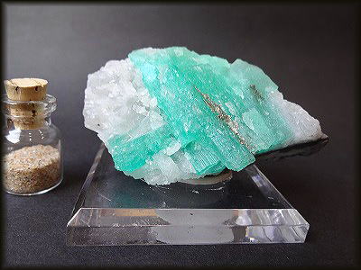 硬玉カモノハシ CIMG14981.jpg