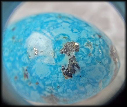 硬玉カモノハシ CIMG14981.jpg